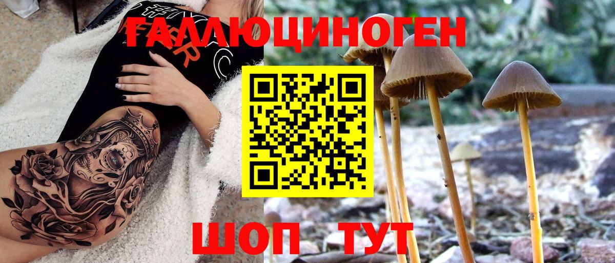 Галлюциногенные грибы GOLDEN TEACHER  купить  цена  Галлюциногенные грибы прущие грибы  Апшеронск 