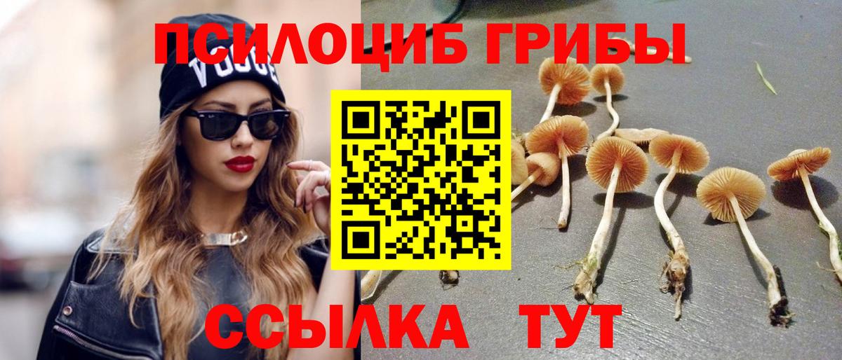Апшеронск  Псилоцибиновые грибы Magic Shrooms  Вход с VPN 